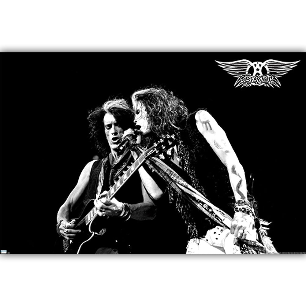 AEROSMITH - Tyler and Perry
